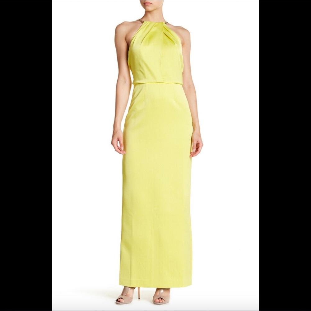NWD $395 Ted‎ Baker London Angeli Chain Strap Maxi